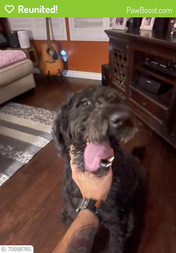 Reunited Male Dog last seen Aviara Parkway, by Poinsettia, Carlsbad, CA 92011