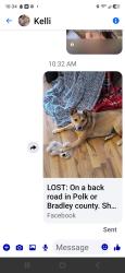 Lost Female Dog last seen Near hwy, Cleveland, TN 37323