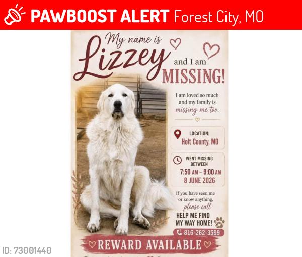 Lost Female Dog last seen T Highway Forest City, mo, Forest City, MO 64451