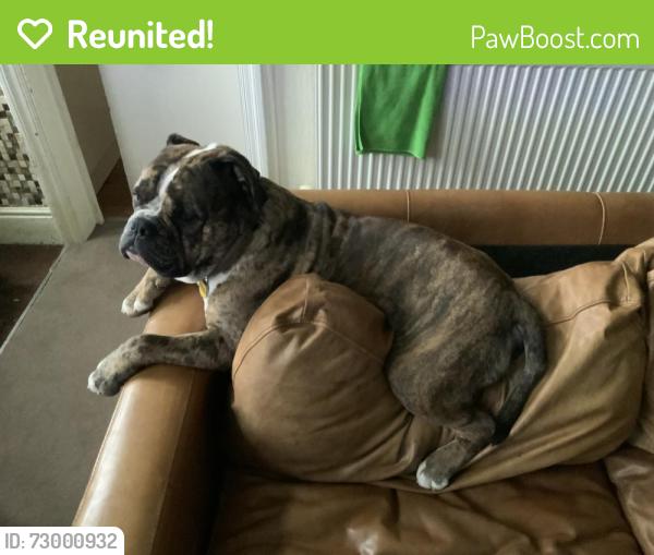 Reunited Male Dog last seen Morrisons supermarket. Harehills lane, West Yorkshire, England 