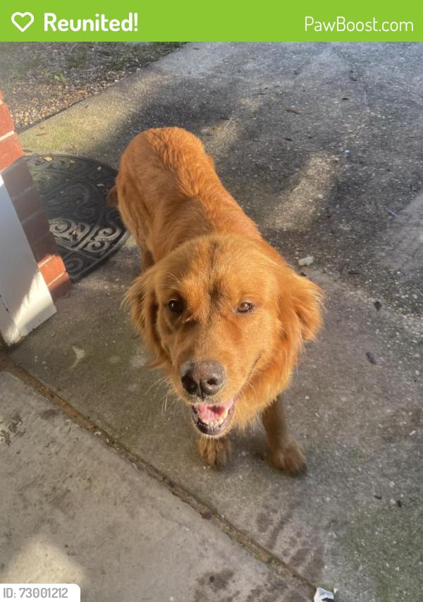 Reunited Male Dog last seen Intersection of Hwy 196 and Hwy 29 in Molino, Molino, FL 32577