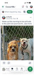 Reunited Female Dog last seen Dixon, Cocoa, FL 32922