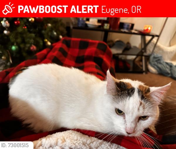 Lost Female Cat last seen High st, Mill st, E3rd Ave, Eugene, OR 97401
