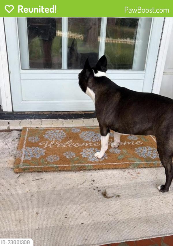 Reunited Unknown Dog last seen Red Forest road and caulfield road , Greensboro, NC 27410