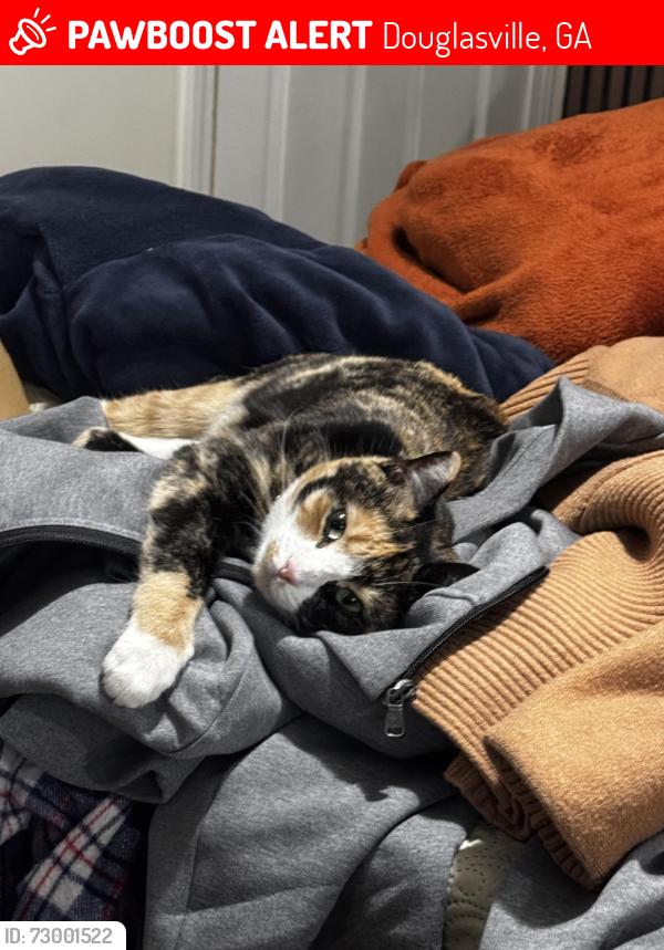 Lost Female Cat last seen Near , Douglasville, GA 30135
