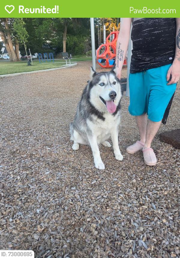 Reunited Male Dog last seen S Powerline Rd & Amity Ave, Nampa, ID 83686, USA, Nampa, ID 83686