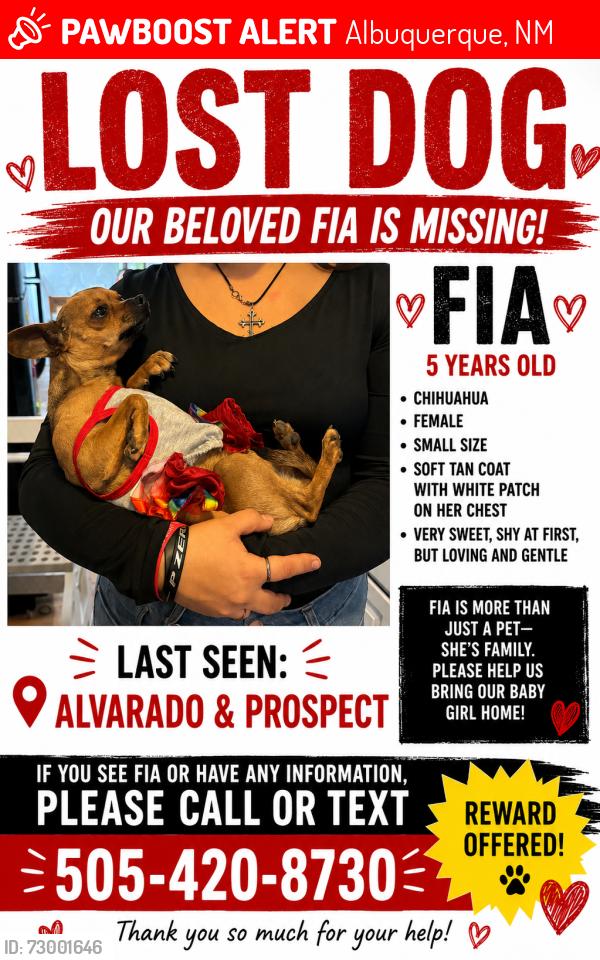Lost Female Dog last seen Prospect and Alvarado, Albuquerque, NM 87110