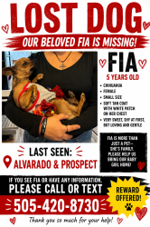Lost Female Dog last seen Prospect and Alvarado, Albuquerque, NM 87110