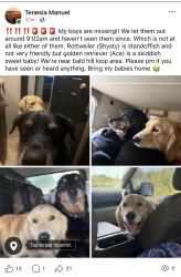 Lost Male Dog last seen Gore automotive , Madison, NC 27025