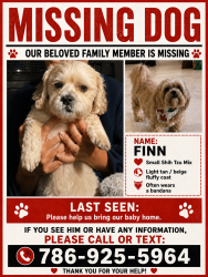 Reunited Male Dog last seen SW 42nd Street and 102nd Ave in Miami near Bird Road, Miami, FL 33165