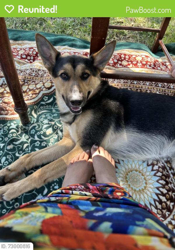 Reunited Male Dog last seen Teekay way, Sacramento, CA 95832