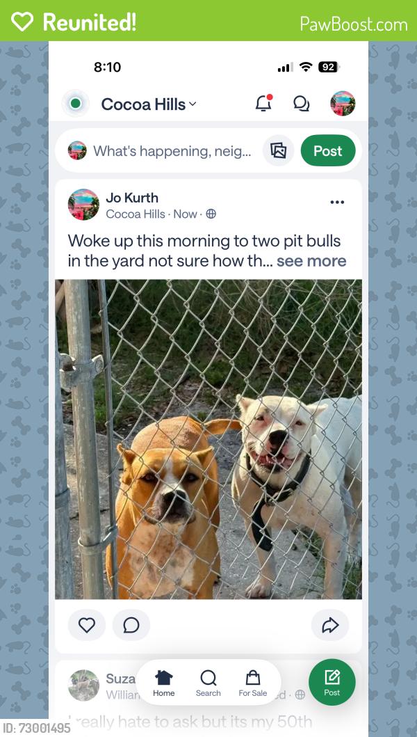 Reunited Female Dog last seen Dixon, Cocoa, FL 32922