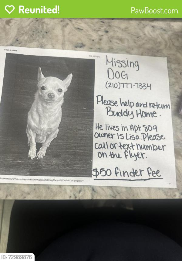 Reunited Male Dog last seen Callaghan and Ingram , San Antonio, TX 78238
