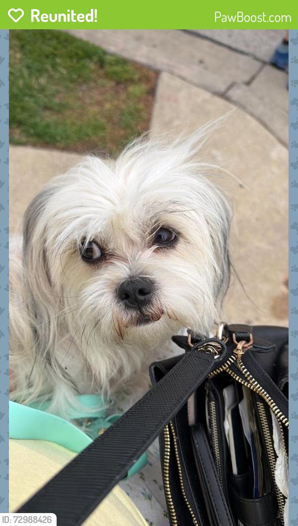 Reunited Female Dog last seen Near s 13 th st 53215, Milwaukee, WI 53215
