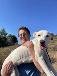 Reunited Female Dog last seen Calle De Leon and Calle Albara, El Cajon, CA 92019