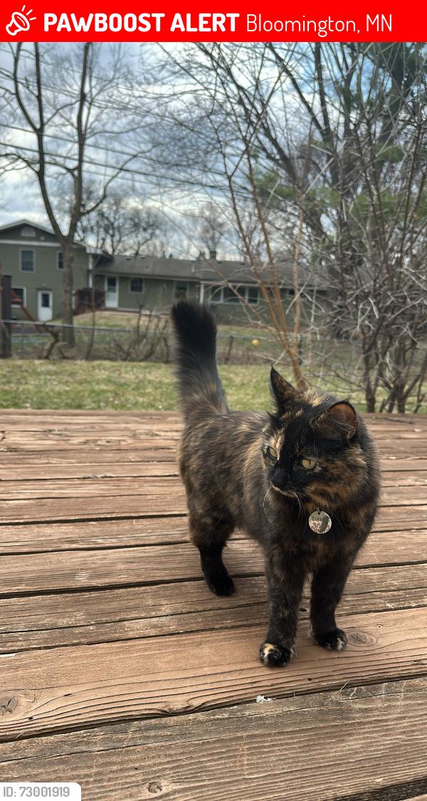 Lost Female Cat last seen 110th St. & Russell Ave. , Bloomington, MN 55437