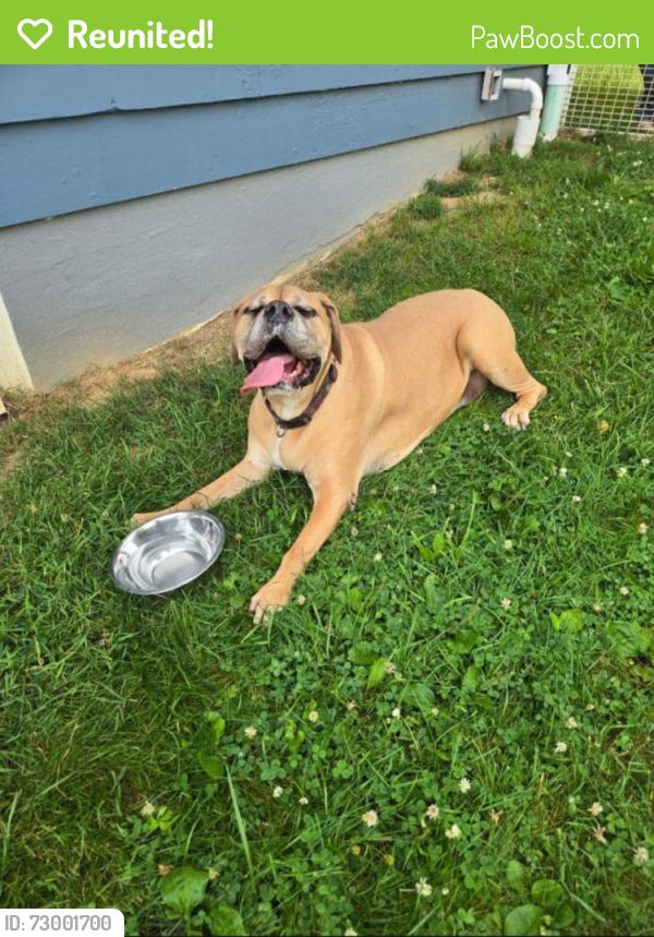 Reunited Male Dog last seen Darmstadt Rd and Wortman Rd, Darmstadt, IN 47725