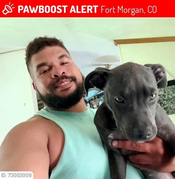 Lost Female Dog last seen Roadway Inn, Fort Morgan, CO 80701