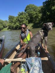 Lost Female Dog last seen She’ll gas station , Capitol Heights, MD 20743