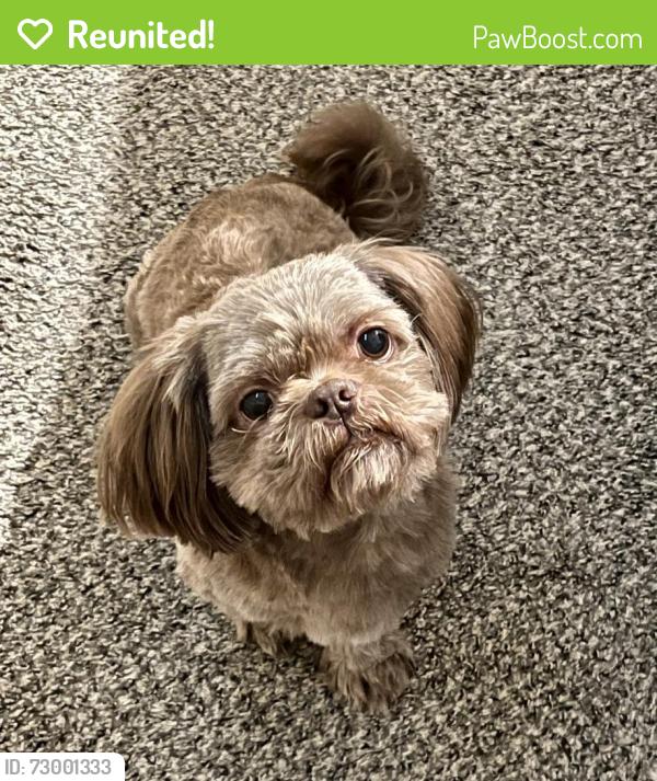 Reunited Male Dog last seen 154th st and ridgeview , Olathe, KS 66062