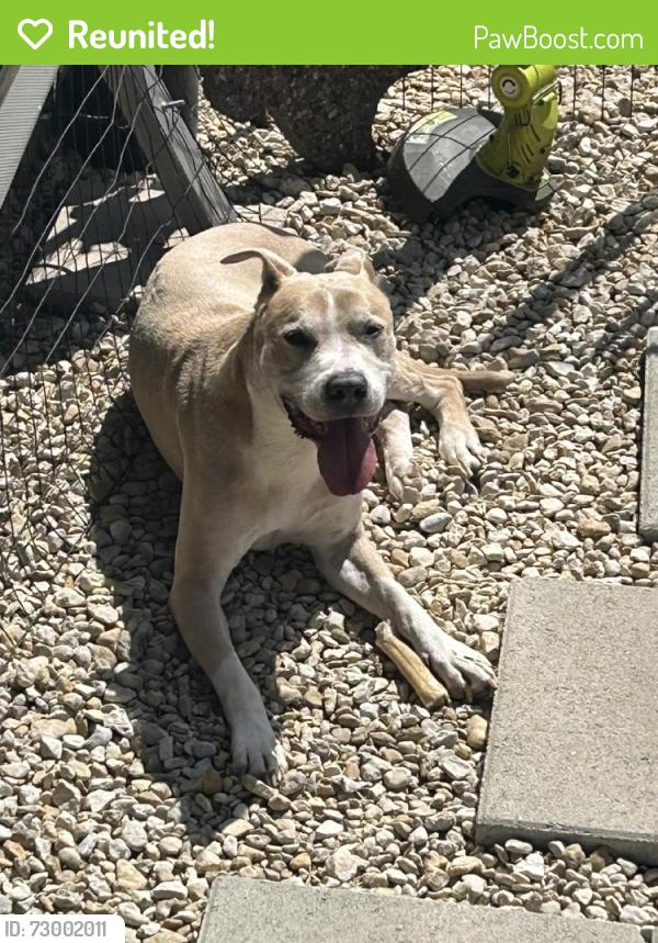 Reunited Male Dog last seen Aubrey, TX, USA, Aubrey, TX 76227