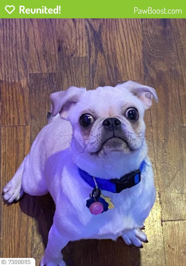 Reunited Male Dog last seen Near Miramar Blvd, Oklahoma City, OK 73111, USA, Oklahoma City, OK 73111
