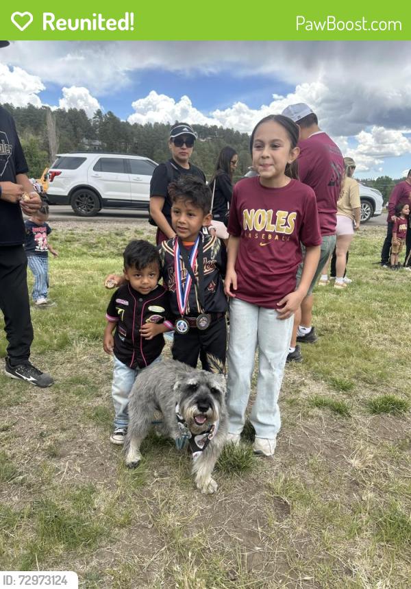 Reunited Male Dog last seen Near Nancy Lee, El Paso, TX 79928