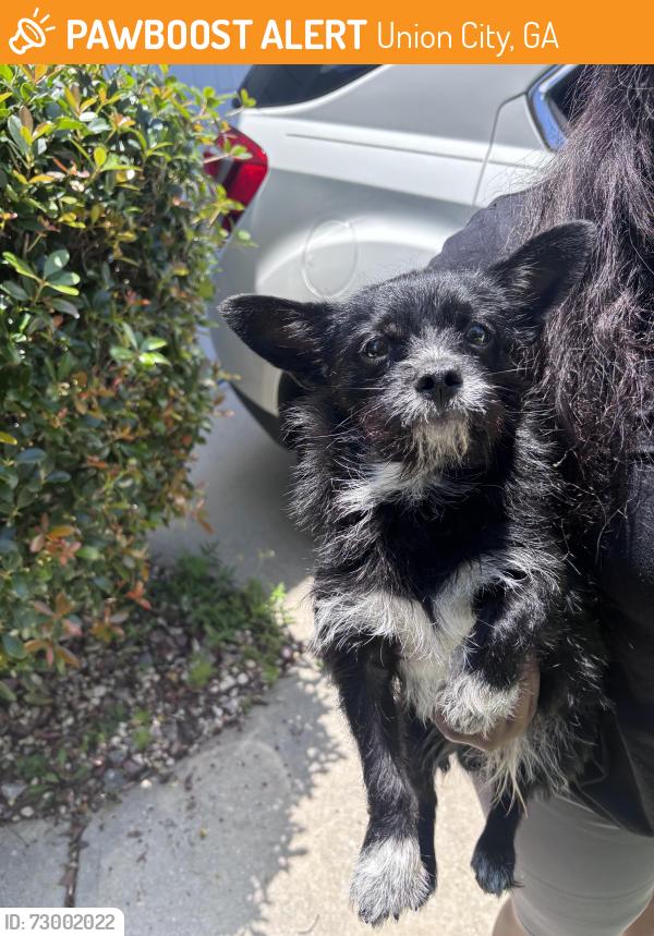 Found/Stray Male Dog last seen Oakley twp, Union City, GA 30291