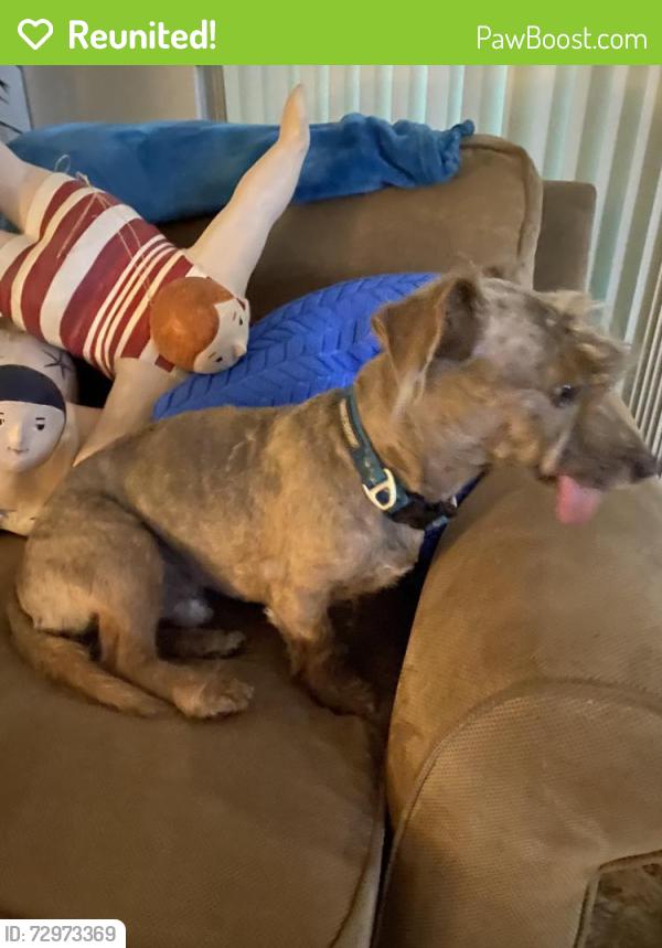 Reunited Male Dog last seen 2nd, Lake Park, FL 33403