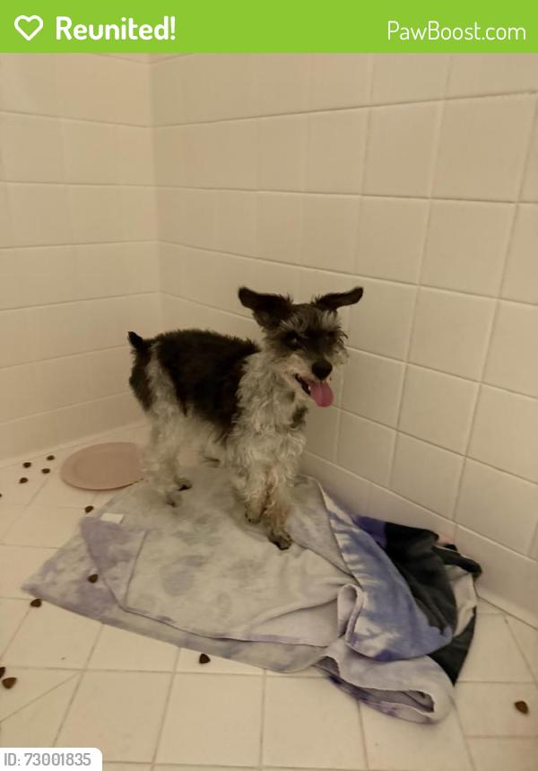 Reunited Male Dog last seen Tuxedo Ave , Alamo Heights, TX 78209