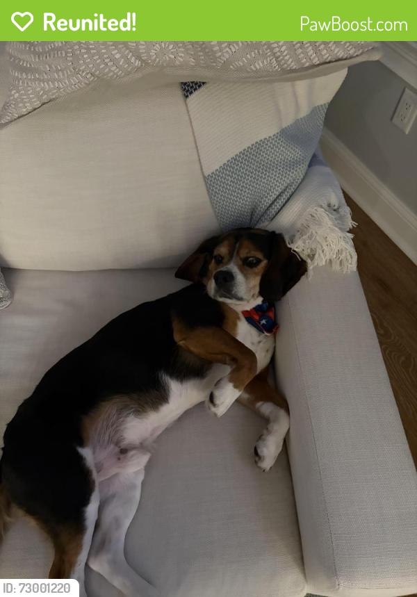 Reunited Male Dog last seen Bay blvd , Seaside Heights, NJ 08751