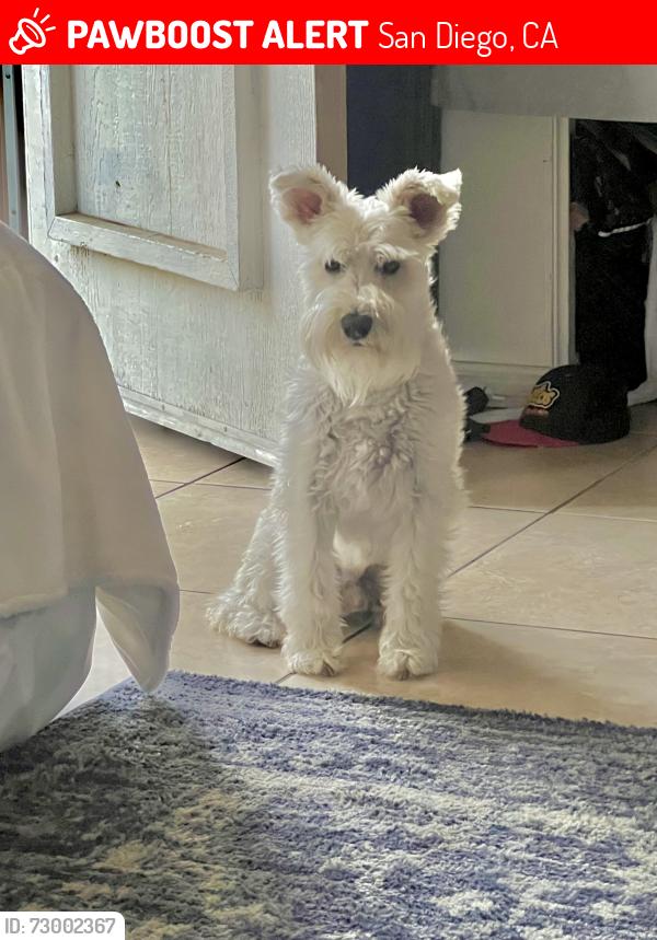 Lost Male Dog last seen Appian Drive & Woodman , San Diego, CA 92139