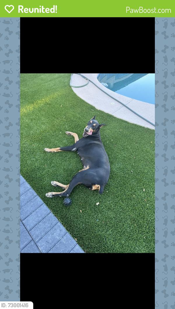 Reunited Female Dog last seen 44th ave and carver, Laveen Village, AZ 85339