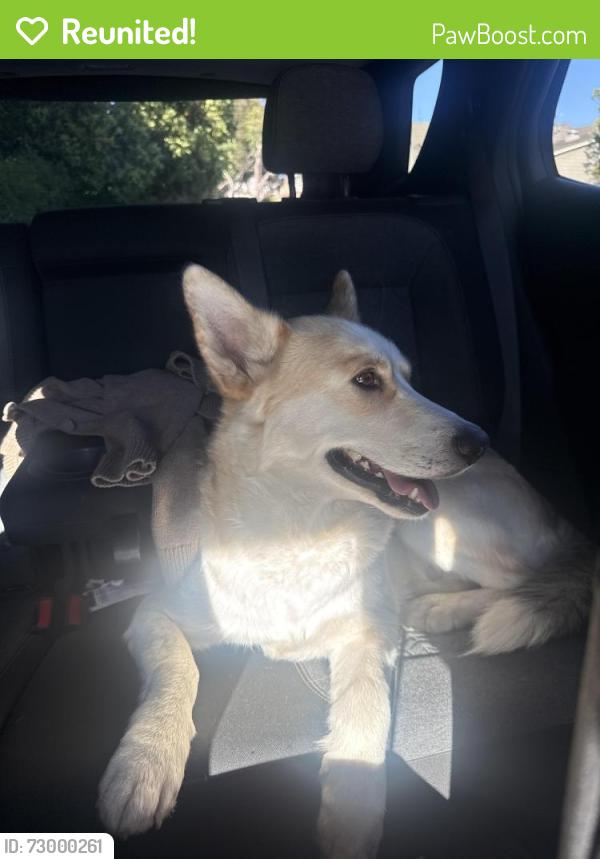 Reunited Female Dog last seen Dixon Landing, Milpitas, CA 95035