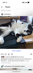 Reunited Male Cat last seen Harrison Ave and North Warren Street, Woburn, Woburn, MA 01801