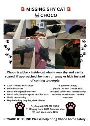 Lost Male Cat last seen Near summer st se, Salem, OR 97302