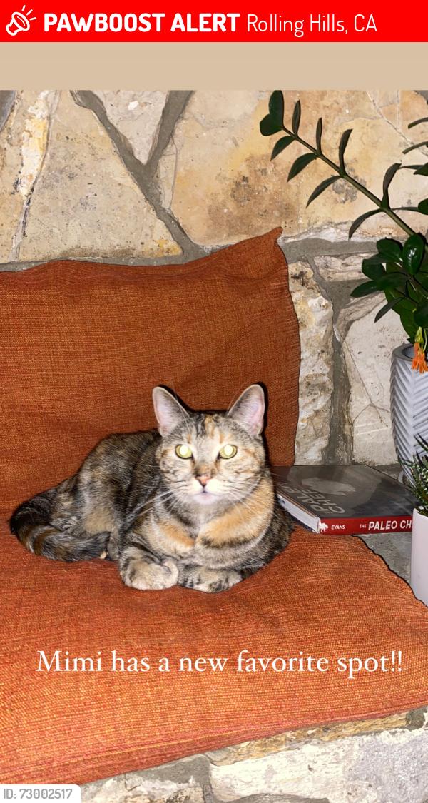 Lost Female Cat last seen Sunnyvale and Palos Verdes Dr, Rolling Hills, CA 90274