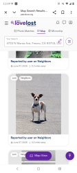 Lost Male Dog last seen Maroa, Fresno, CA 93704