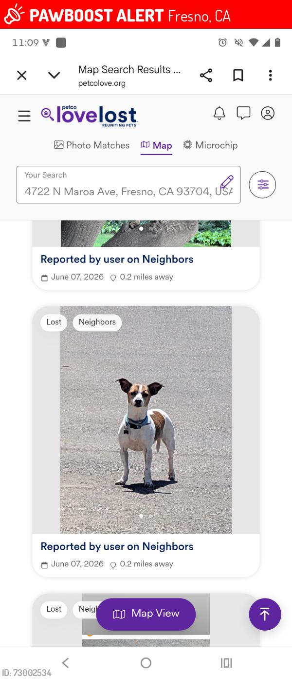Lost Male Dog last seen Maroa, Fresno, CA 93704