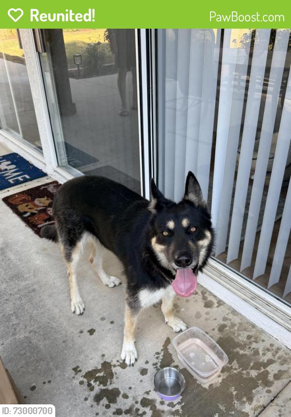 Reunited Female Dog last seen State St. , Corona, CA 92881