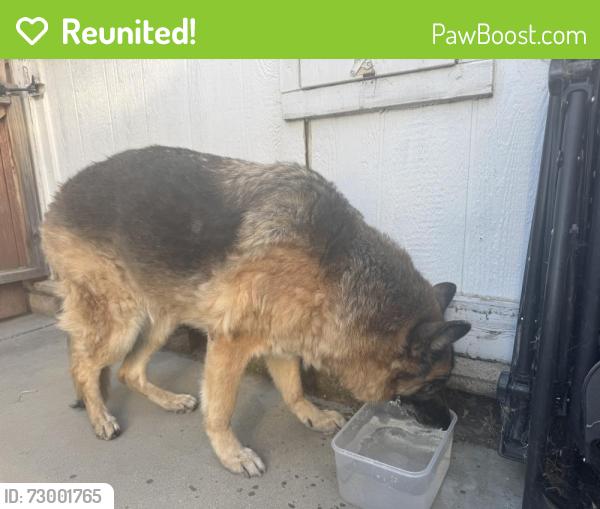 Reunited Unknown Dog last seen In between Mt San Jacinto College campus and Country Lakes Community , San Jacinto, CA 92583