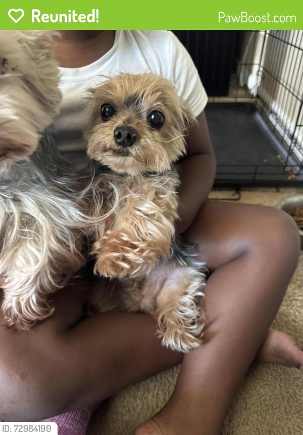 Reunited Male Dog last seen Rutherford High School, Panama City, FL 32401