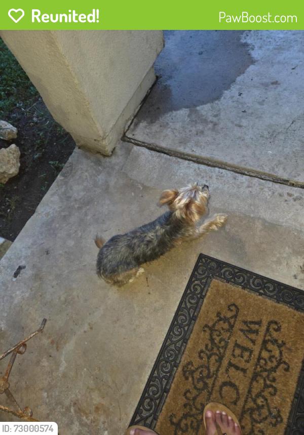 Reunited Female Dog last seen Near Cheyenne Ave, San Antonio, TX 78207, USA, San Antonio, TX 78207