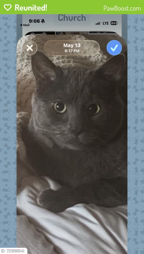 Reunited Male Cat last seen Remington place and Quay court, Littleton, CO 80128