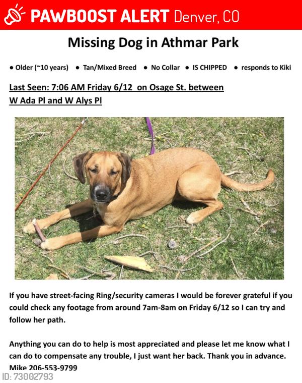 Lost Female Dog last seen Near South Osage St, Denver, CO 80223, Denver, CO 80223