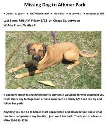 Lost Female Dog last seen Near South Osage St, Denver, CO 80223, Denver, CO 80223