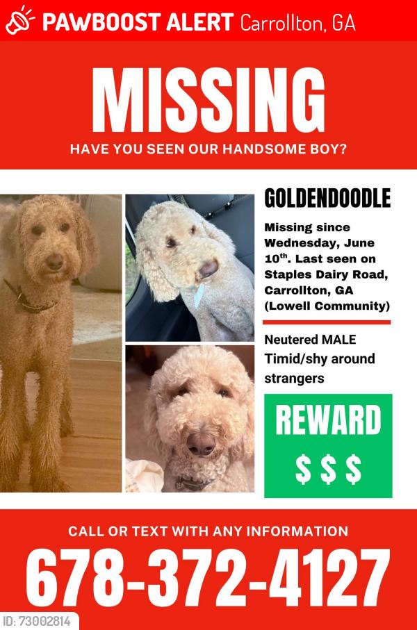 Lost Male Dog last seen At home (staples dairy rd), Carrollton, GA 30116