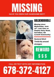 Lost Male Dog last seen At home (staples dairy rd), Carrollton, GA 30116