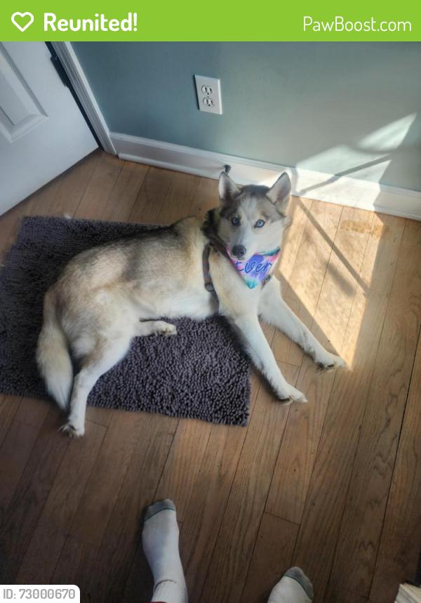 Reunited Female Dog last seen Snow Road and Jericho, Bridgman, MI 49106