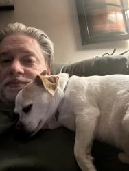 Lost Male Dog last seen Mills and Anderson.  , Orlando, FL 32801